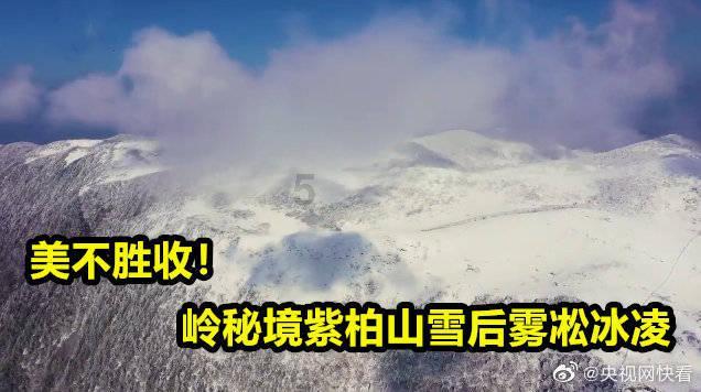 flash canvas 如何写跳转到下一帧的代码？游戏画面