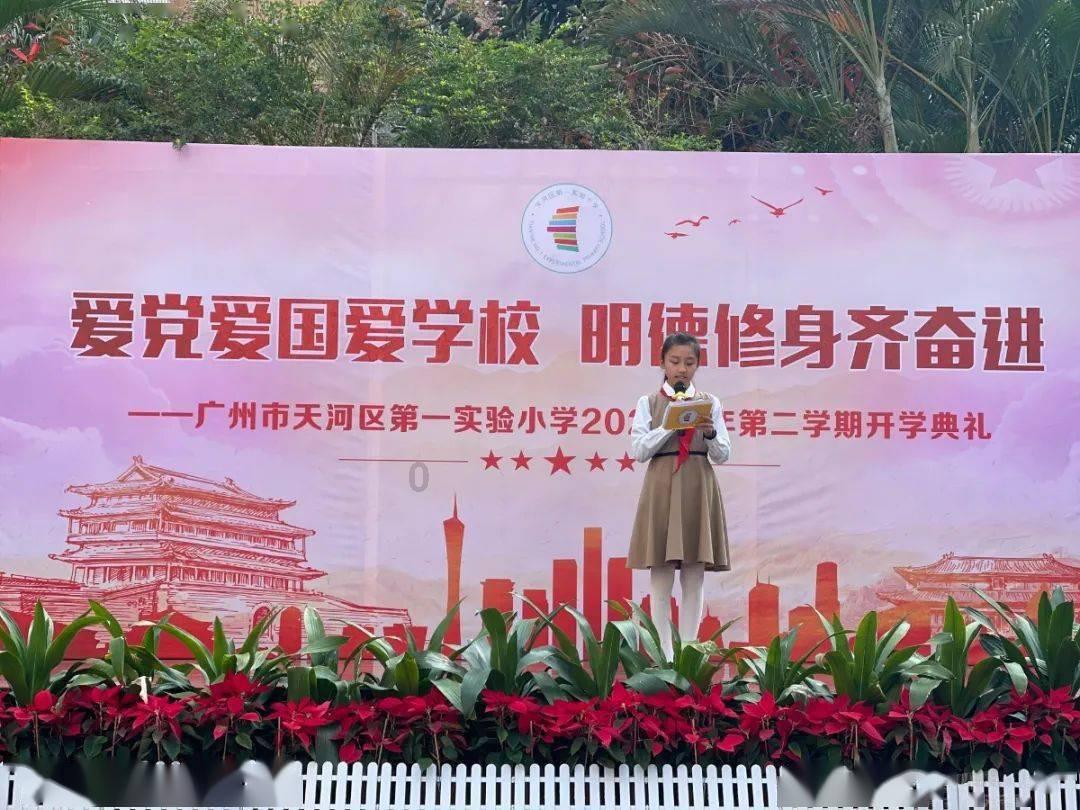 掘地挖宝